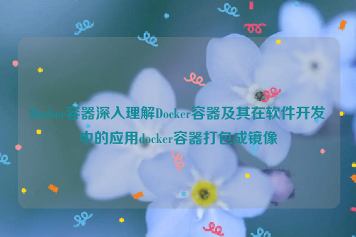 Docker容器深入理解Docker容器及其在软件开发中的应用docker容器打包成镜像