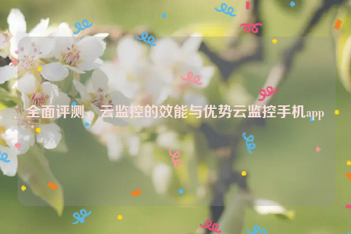 全面评测，云监控的效能与优势云监控手机app