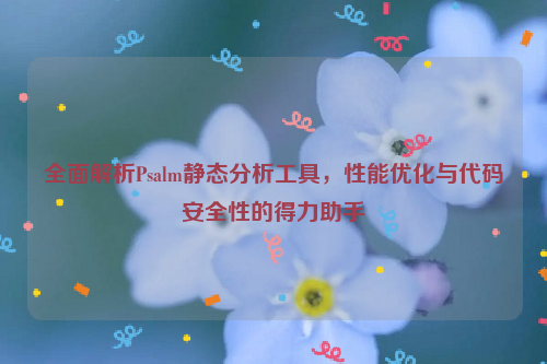 全面解析Psalm静态分析工具，性能优化与代码安全性的得力助手