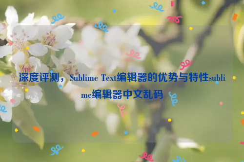 深度评测，Sublime Text编辑器的优势与特性sublime编辑器中文乱码