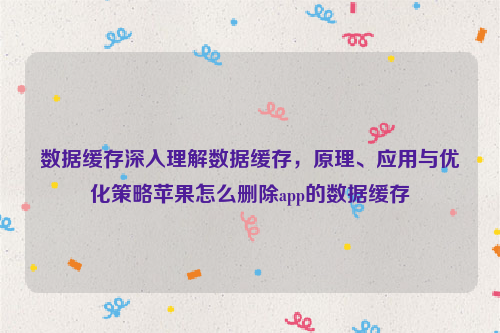 数据缓存深入理解数据缓存，原理、应用与优化策略苹果怎么删除app的数据缓存