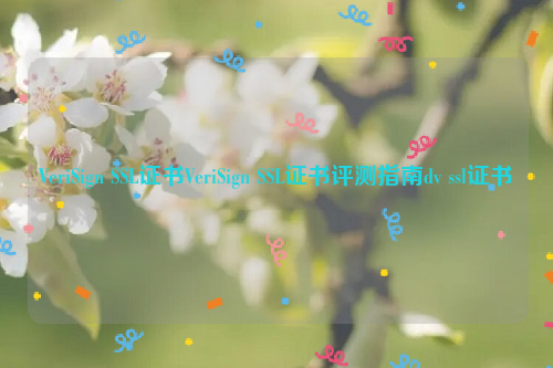 VeriSign SSL证书VeriSign SSL证书评测指南dv ssl证书