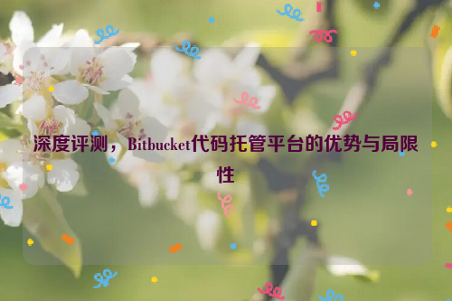 深度评测，Bitbucket代码托管平台的优势与局限性