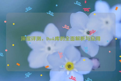 深度评测，Dusk库的全面解析与应用