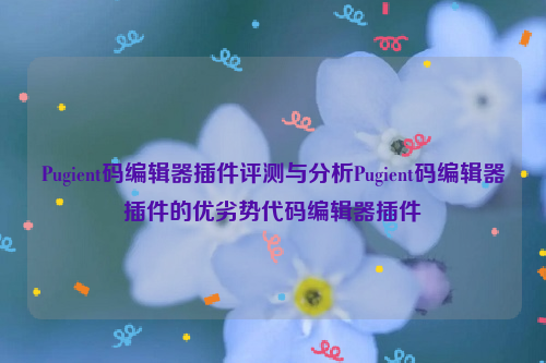 Pugient码编辑器插件评测与分析Pugient码编辑器插件的优劣势代码编辑器插件