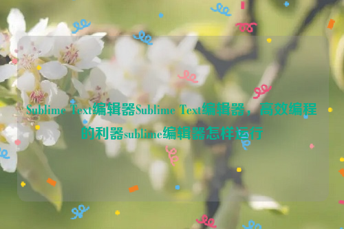 Sublime Text编辑器Sublime Text编辑器，高效编程的利器sublime编辑器怎样运行