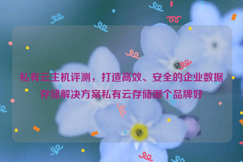 私有云主机评测，打造高效、安全的企业数据存储解决方案私有云存储哪个品牌好