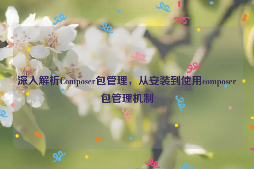 深入解析Composer包管理，从安装到使用composer包管理机制