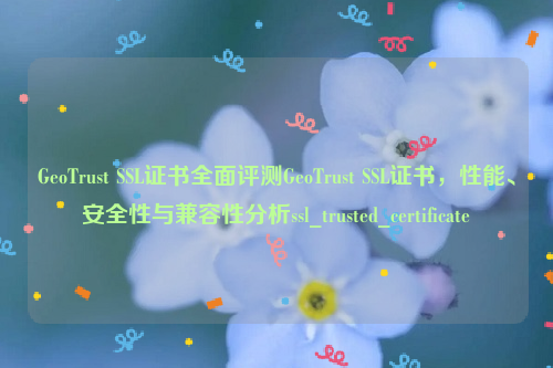 GeoTrust SSL证书全面评测GeoTrust SSL证书，性能、安全性与兼容性分析ssl_trusted_certificate