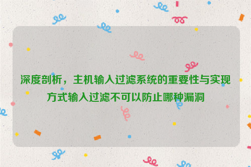 深度剖析，主机输入过滤系统的重要性与实现方式输入过滤不可以防止哪种漏洞