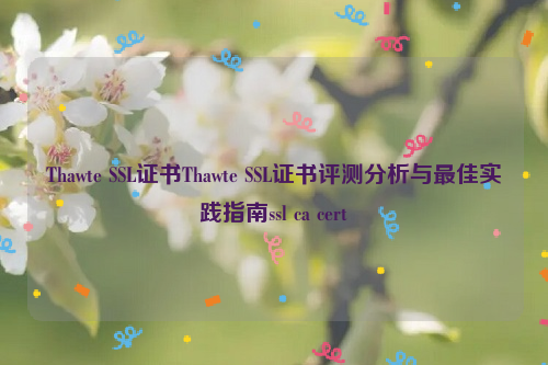 Thawte SSL证书Thawte SSL证书评测分析与最佳实践指南ssl ca cert