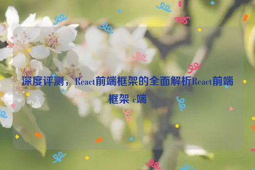 深度评测，React前端框架的全面解析React前端框架 c端