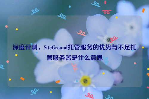 深度评测，SiteGround托管服务的优势与不足托管服务器是什么意思