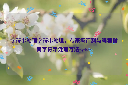 字符串处理字符串处理，专家级评测与编程指南字符串处理方法python