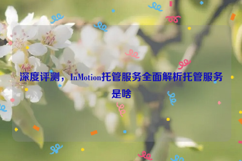 深度评测，InMotion托管服务全面解析托管服务是啥