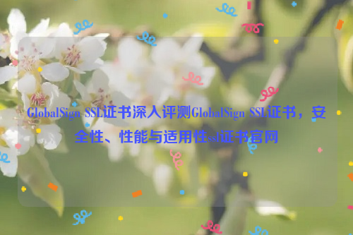 GlobalSign SSL证书深入评测GlobalSign SSL证书，安全性、性能与适用性ssl证书官网