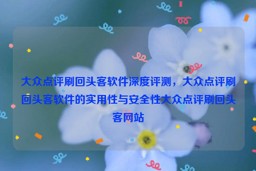 大众点评刷回头客软件深度评测，大众点评刷回头客软件的实用性与安全性大众点评刷回头客网站