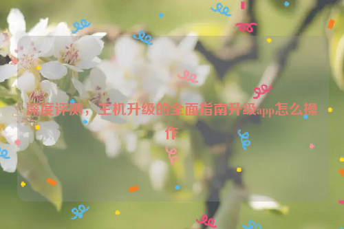 深度评测，主机升级的全面指南升级app怎么操作