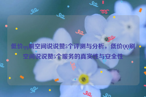 低价qq刷空间说说赞5个评测与分析，低价QQ刷空间说说赞5个服务的真实性与安全性