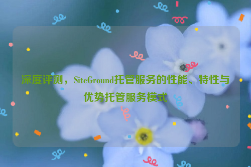 深度评测，SiteGround托管服务的性能、特性与优势托管服务模式