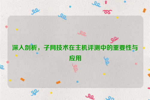 深入剖析，子网技术在主机评测中的重要性与应用