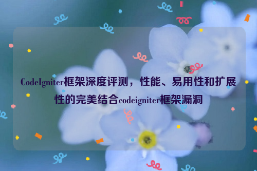 CodeIgniter框架深度评测，性能、易用性和扩展性的完美结合codeigniter框架漏洞