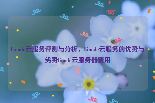 Linode云服务评测与分析，Linode云服务的优势与劣势linode云服务器费用