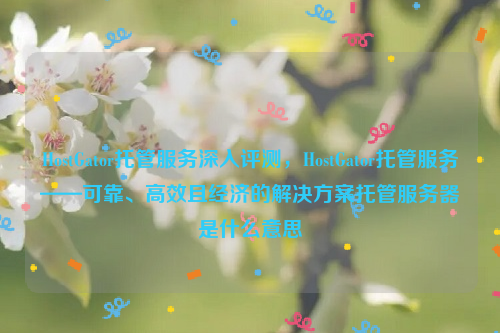 HostGator托管服务深入评测，HostGator托管服务——可靠、高效且经济的解决方案托管服务器是什么意思