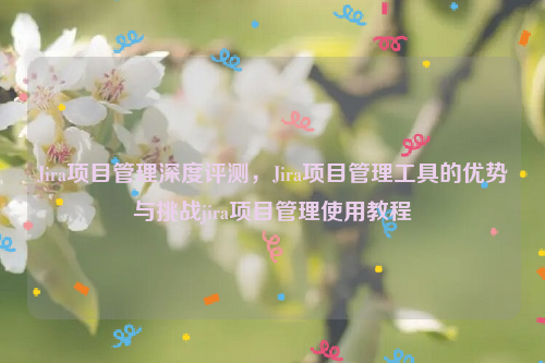 Jira项目管理深度评测，Jira项目管理工具的优势与挑战jira项目管理使用教程