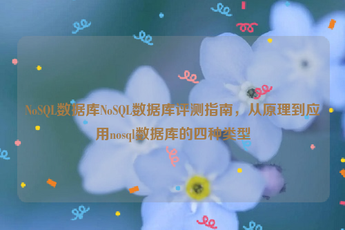 NoSQL数据库NoSQL数据库评测指南，从原理到应用nosql数据库的四种类型