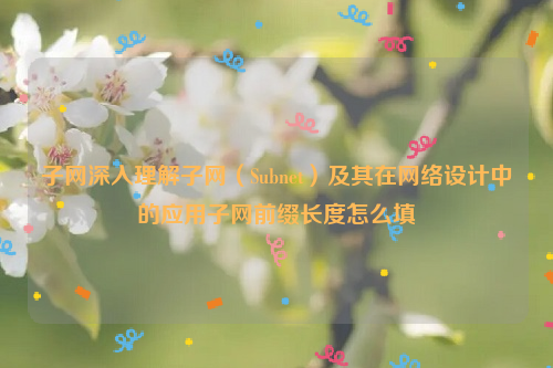 子网深入理解子网（Subnet）及其在网络设计中的应用子网前缀长度怎么填