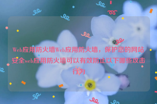 Web应用防火墙Web应用防火墙，保护您的网站安全web应用防火墙可以有效防止以下哪些攻击行为