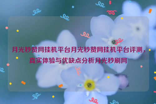 月光秒赞网挂机平台月光秒赞网挂机平台评测，真实体验与优缺点分析月光秒刷网