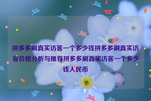 拼多多刷真实访客一个多少钱拼多多刷真实访客价格分析与推荐拼多多刷真实访客一个多少钱人民币