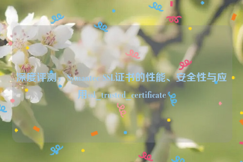 深度评测，Symantec SSL证书的性能、安全性与应用ssl_trusted_certificate