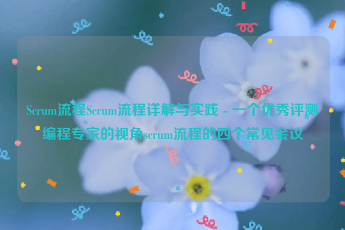 Scrum流程Scrum流程详解与实践 - 一个优秀评测编程专家的视角scrum流程的四个常见会议