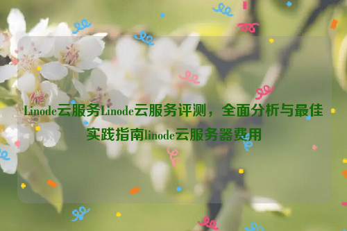 Linode云服务Linode云服务评测，全面分析与最佳实践指南linode云服务器费用