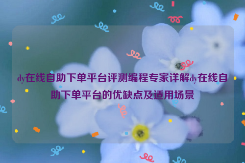 dy在线自助下单平台评测编程专家详解dy在线自助下单平台的优缺点及适用场景