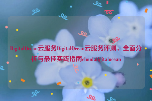 DigitalOcean云服务DigitalOcean云服务评测，全面分析与最佳实践指南cloud.digitalocean