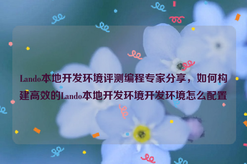 Lando本地开发环境评测编程专家分享，如何构建高效的Lando本地开发环境开发环境怎么配置