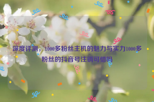 深度评测，1000多粉丝主机的魅力与实力1000多粉丝的抖音号注销可惜吗