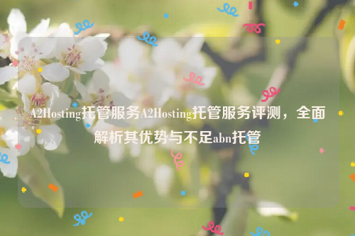 A2Hosting托管服务A2Hosting托管服务评测，全面解析其优势与不足abn托管