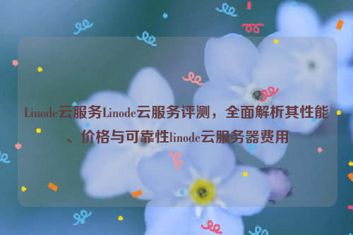 Linode云服务Linode云服务评测，全面解析其性能、价格与可靠性linode云服务器费用