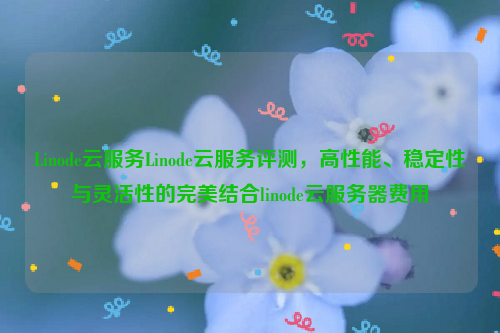 Linode云服务Linode云服务评测，高性能、稳定性与灵活性的完美结合linode云服务器费用