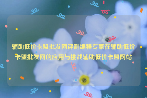 辅助低价卡盟批发网评测编程专家在辅助低价卡盟批发网的应用与挑战辅助低价卡盟网站