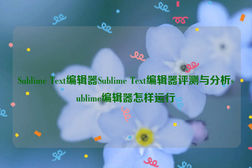 Sublime Text编辑器Sublime Text编辑器评测与分析sublime编辑器怎样运行