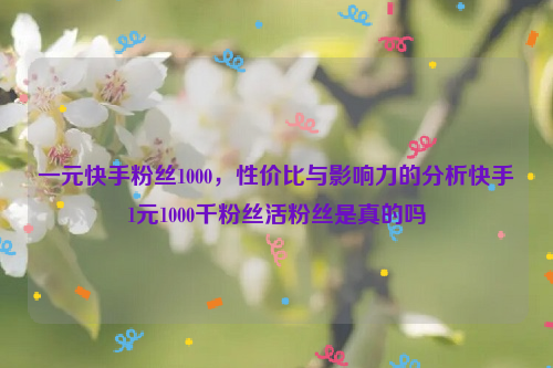 一元快手粉丝1000，性价比与影响力的分析快手1元1000千粉丝活粉丝是真的吗