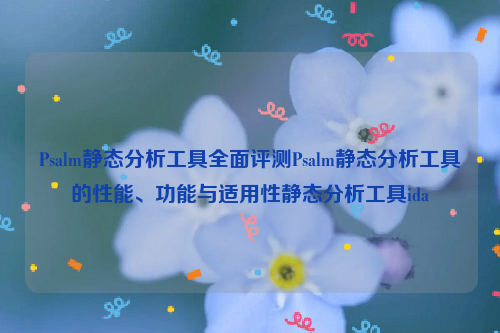 Psalm静态分析工具全面评测Psalm静态分析工具的性能、功能与适用性静态分析工具ida