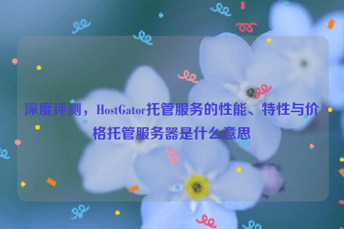 深度评测，HostGator托管服务的性能、特性与价格托管服务器是什么意思