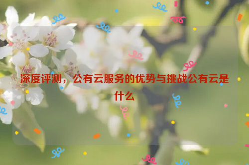 深度评测，公有云服务的优势与挑战公有云是什么